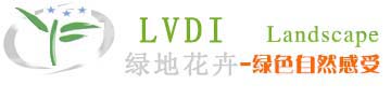金满地